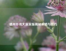 德州扑克大赢家版揭秘策略与技巧