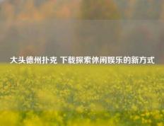 大头德州扑克 下载探索休闲娱乐的新方式