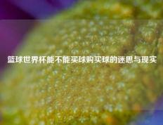 篮球世界杯能不能买球购买球的迷思与现实