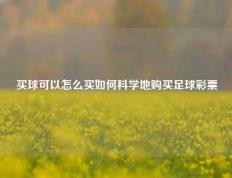 买球可以怎么买如何科学地购买足球彩票