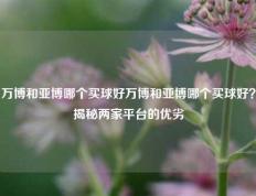 万博和亚博哪个买球好万博和亚博哪个买球好？揭秘两家平台的优劣