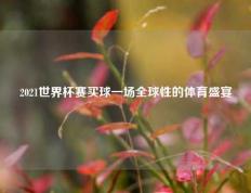 2021世界杯赛买球一场全球性的体育盛宴