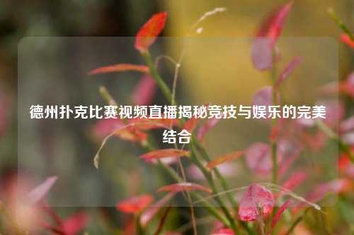 德州扑克比赛视频直播揭秘竞技与娱乐的完美结合