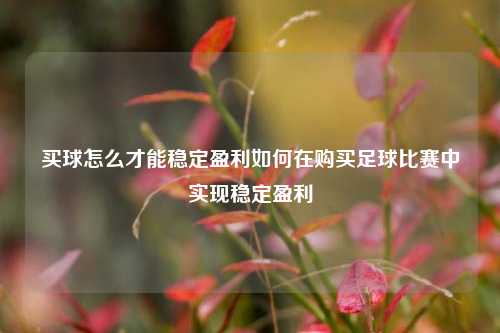 买球怎么才能稳定盈利如何在购买足球比赛中实现稳定盈利