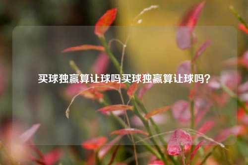 买球独赢算让球吗买球独赢算让球吗？