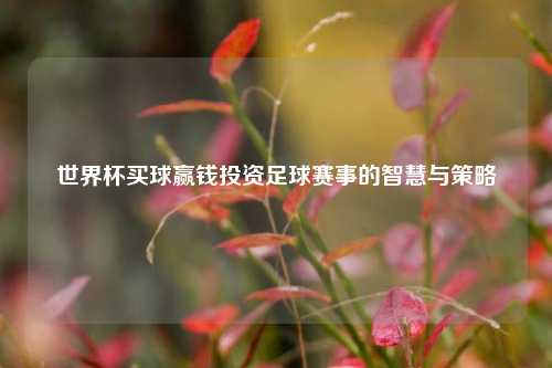 世界杯买球赢钱投资足球赛事的智慧与策略