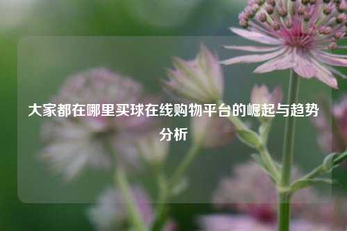 大家都在哪里买球在线购物平台的崛起与趋势分析