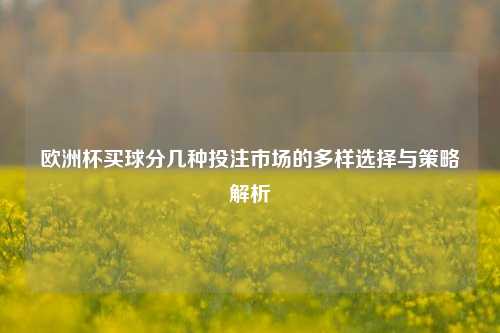 欧洲杯买球分几种投注市场的多样选择与策略解析