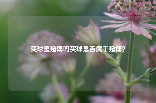 买球是赌博吗买球是否属于赌博？