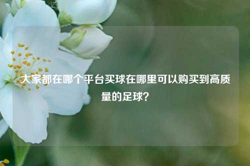 大家都在哪个平台买球在哪里可以购买到高质量的足球？