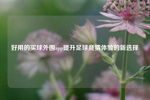 好用的买球外围app提升足球竞猜体验的新选择
