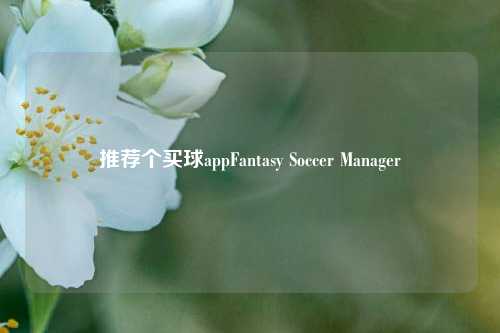 推荐个买球appFantasy Soccer Manager