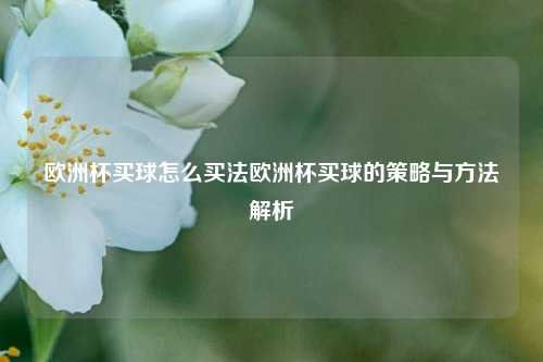 欧洲杯买球怎么买法欧洲杯买球的策略与方法解析