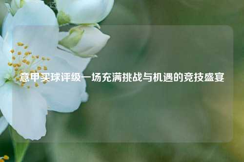 意甲买球评级一场充满挑战与机遇的竞技盛宴