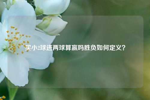买小2球进两球算赢吗胜负如何定义？