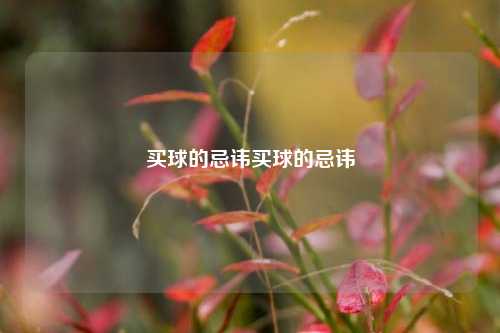 买球的忌讳买球的忌讳