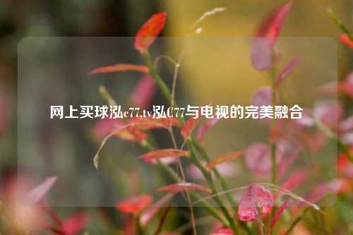 网上买球泓c77,tv泓C77与电视的完美融合