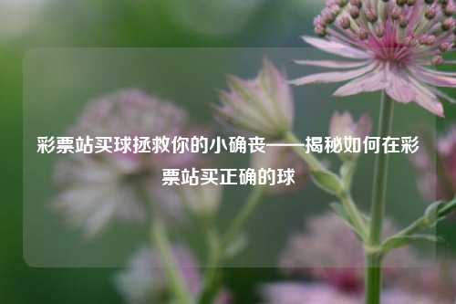 彩票站买球拯救你的小确丧——揭秘如何在彩票站买正确的球