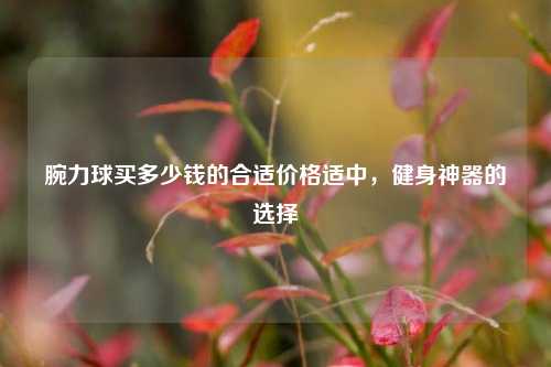 腕力球买多少钱的合适价格适中，健身神器的选择