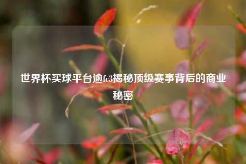 世界杯买球平台逾fc3揭秘顶级赛事背后的商业秘密