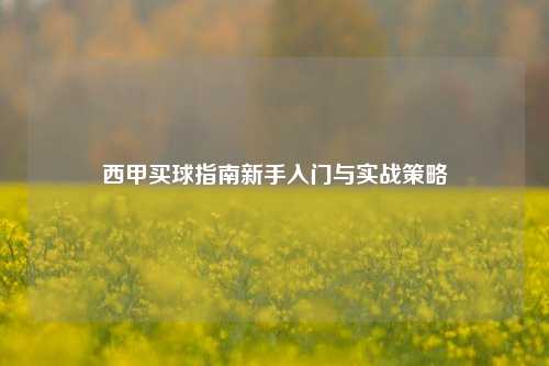 西甲买球指南新手入门与实战策略