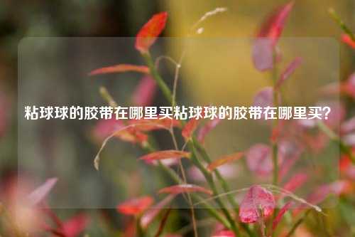 粘球球的胶带在哪里买粘球球的胶带在哪里买？