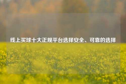 线上买球十大正规平台选择安全、可靠的选择