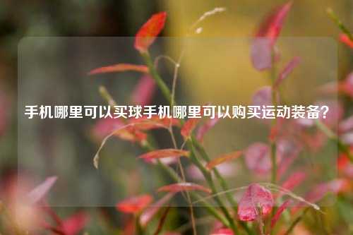 手机哪里可以买球手机哪里可以购买运动装备？