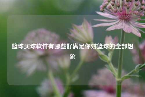 篮球买球软件有哪些好满足你对篮球的全部想象