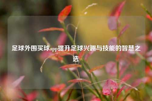 足球外围买球app提升足球兴趣与技能的智慧之选