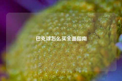 巴克球怎么买全面指南