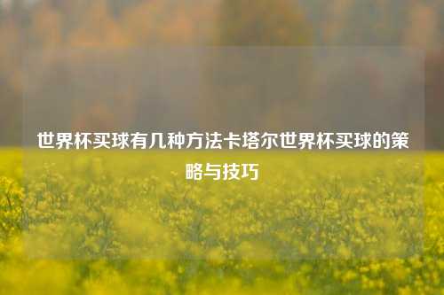 世界杯买球有几种方法卡塔尔世界杯买球的策略与技巧
