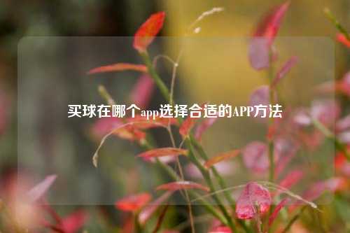 买球在哪个app选择合适的APP方法