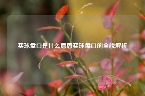 买球盘口是什么意思买球盘口的全貌解析