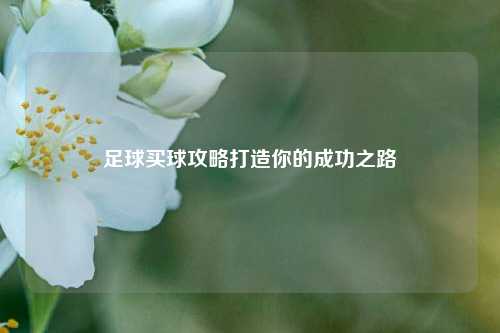 足球买球攻略打造你的成功之路
