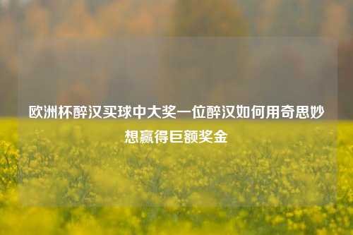 欧洲杯醉汉买球中大奖一位醉汉如何用奇思妙想赢得巨额奖金