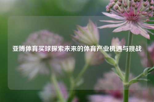 亚博体育买球探索未来的体育产业机遇与挑战