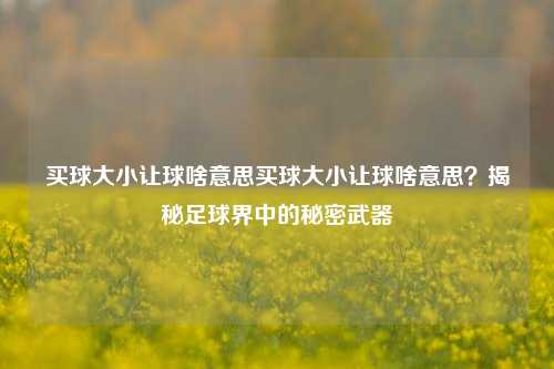 买球大小让球啥意思买球大小让球啥意思？揭秘足球界中的秘密武器