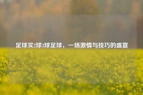 足球买2球3球足球，一场激情与技巧的盛宴