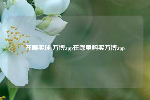 在哪买球 万博app在哪里购买万博app