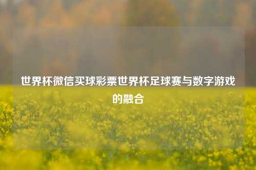 世界杯微信买球彩票世界杯足球赛与数字游戏的融合